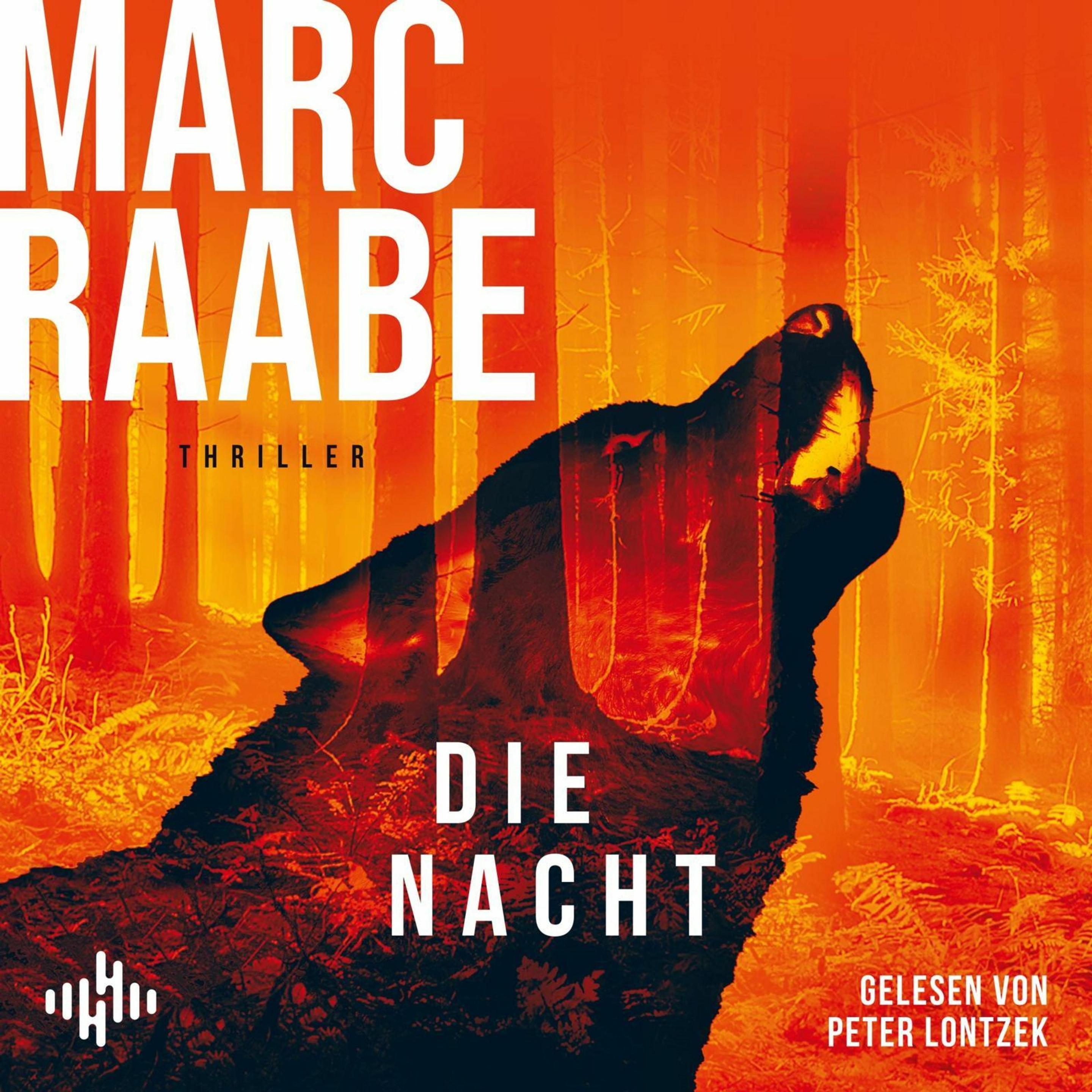 Die Nacht (Art Mayer-Serie 3), Hörbücher von Marc Raabe