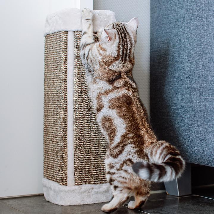 Produktbild Nobby Kratzecke mit Plüsch (Grau)