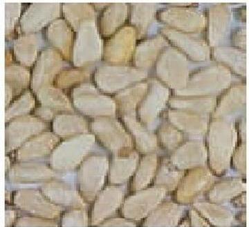 Actual product image Schweizer Pine nuts (2 x, 0.20 kg)