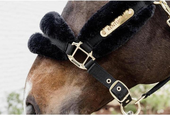 Produktbild Kentucky Horsewear Halfter Nylon sheepskin soft