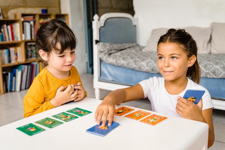 Produktbild Dujardin 7 Familienspiel