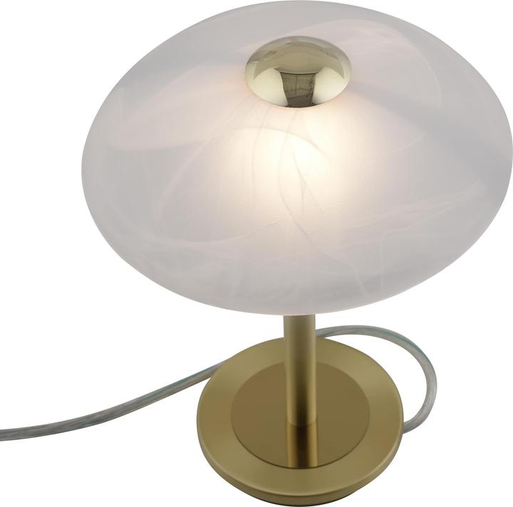 Image du produit Paul Neuhaus Enova (265 lm, G9)