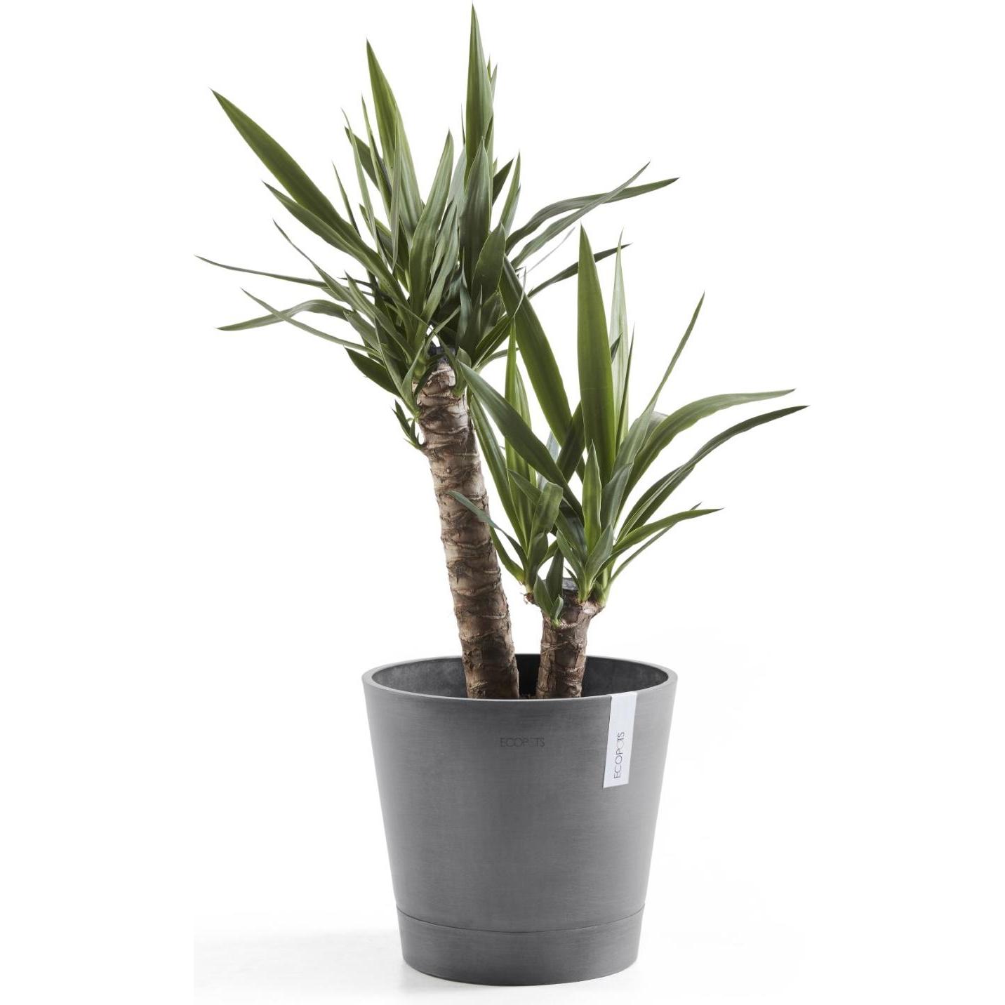 Thumbnail - Ecopots, Blumentopf, Venice (40 cm)
