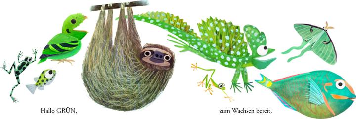 Immagine prodotto Wenzel:Hello Hello - Colori (Tedesco)