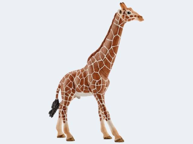 Image du produit Schleich Girafe taureau