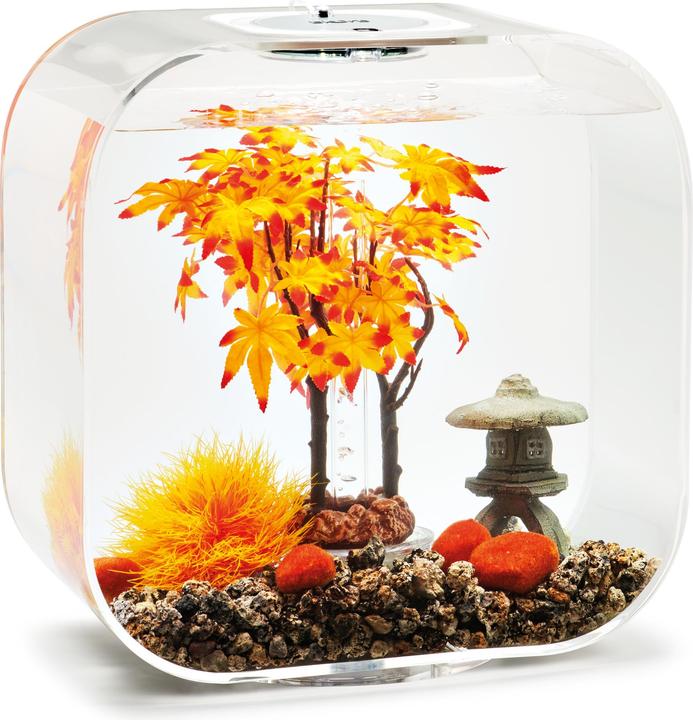 Actual product image Oase 55027 Aquarium decoration 30 l (Embellishment, other buildings)