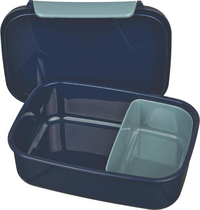 Actual product image Scooli Brotdose Harry Potter