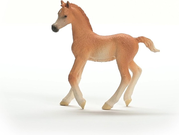 Produktbild Schleich Araber Fohlen