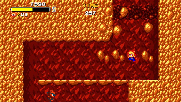 Actual product image GED Tanuki Justice (PS4, EN)