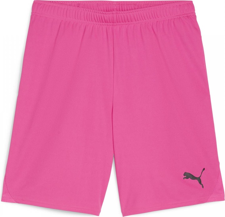 Actual product image Puma teamGOAL shorts (L)