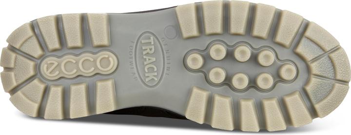 Actual product image Ecco Track 25 Low GTX (48)