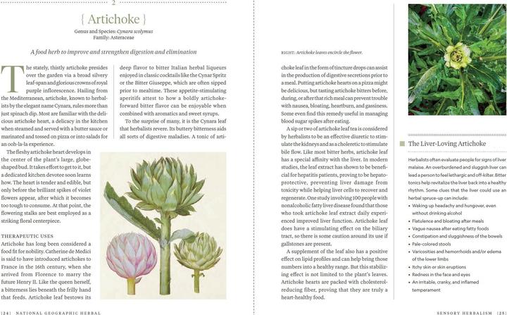 Produktbild National Geographic Die ganze Welt der Heilpflanzen (Deutsch, Mimi Prunella Hernandez, 2025)