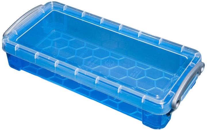 Really Useful Box 0.55 litres (22 x 10 x 4 cm, 0.55 l)