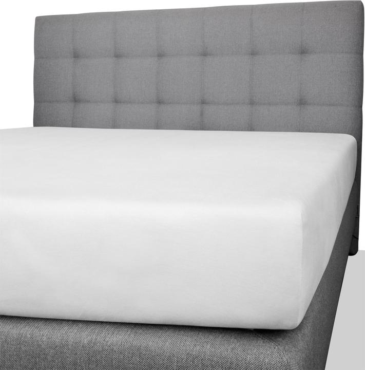 Actual product image Aspero 2 x Cotton fitted sheet - 8478 (90, 100 x 200 x 25 cm)