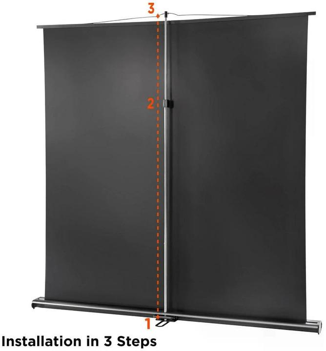 Actual product image Celexon Ultramobil Professional (55.91", 16:10)