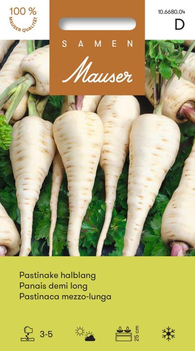 Actual product image Samen Mauser Parsnip, half-long (Vegetable seeds)