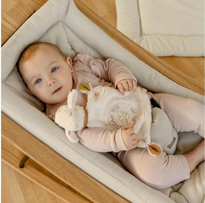 Produktbild Fehn Schmusetuch Schaf Dream Big