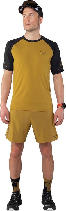 Produktbild Dynafit Alpine Pro M S/S Tee (52, XL)
