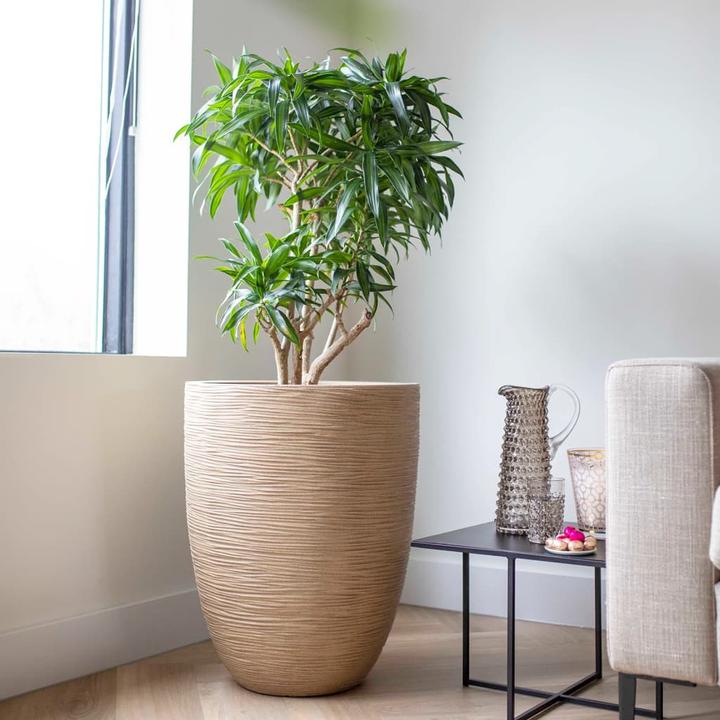 Produktbild Capi Wylder (34 x 46 cm)