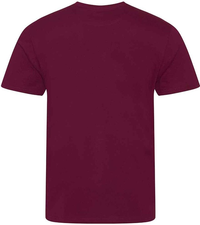 Immagine prodotto Awdis Cascade Maglietta Ecologia Uomo (XL)