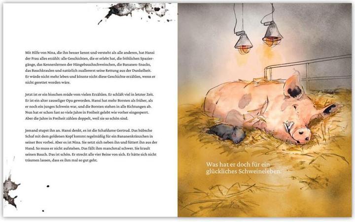 Produktbild Ein Buch für Hansi (Deutsch, Sandra Niermeyer, Linda Mieleck, 2022)