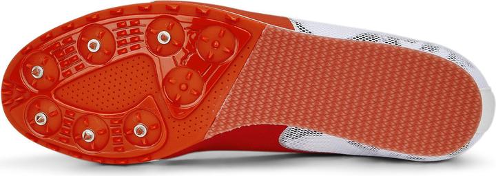 Actual product image Puma evoSPEED Star 8 (42.5)
