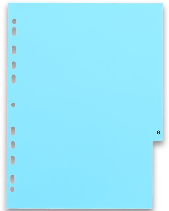 Image du produit Oxford Intercalaire "Strong Line" A4