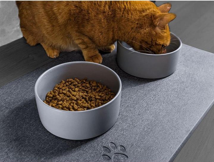 Produktbild Moonstone Swan Pet Unterlage dunkelgrau