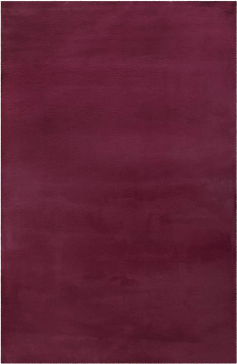 Viola bordeaux