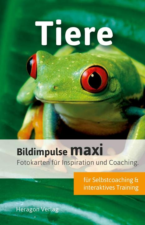 Produktbild Bildimpulse maxi: Tiere (Deutsch, Bodo Pack, 2018)