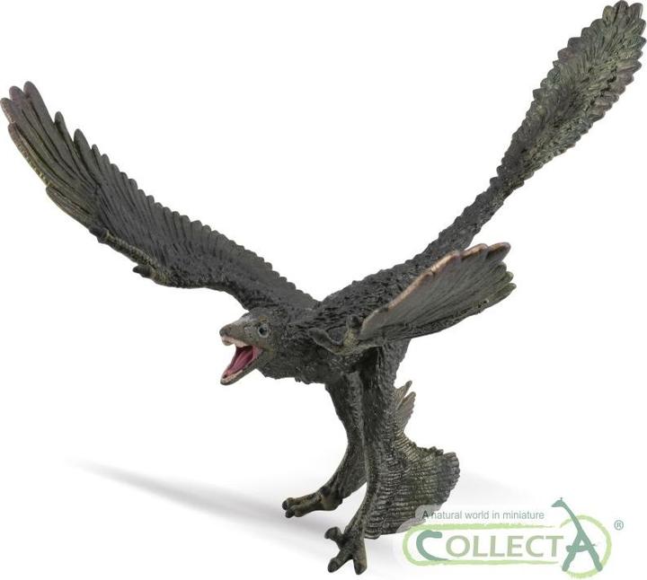 Produktbild Collecta Dinosaurier-Microraptor-Figur