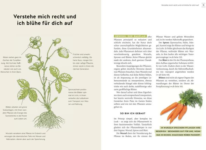 Image du produit Pflanzen endlich verstehen (Allemand, Karin Greiner, 2022)