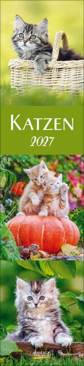 Produktbild Katzen Langplaner 2027