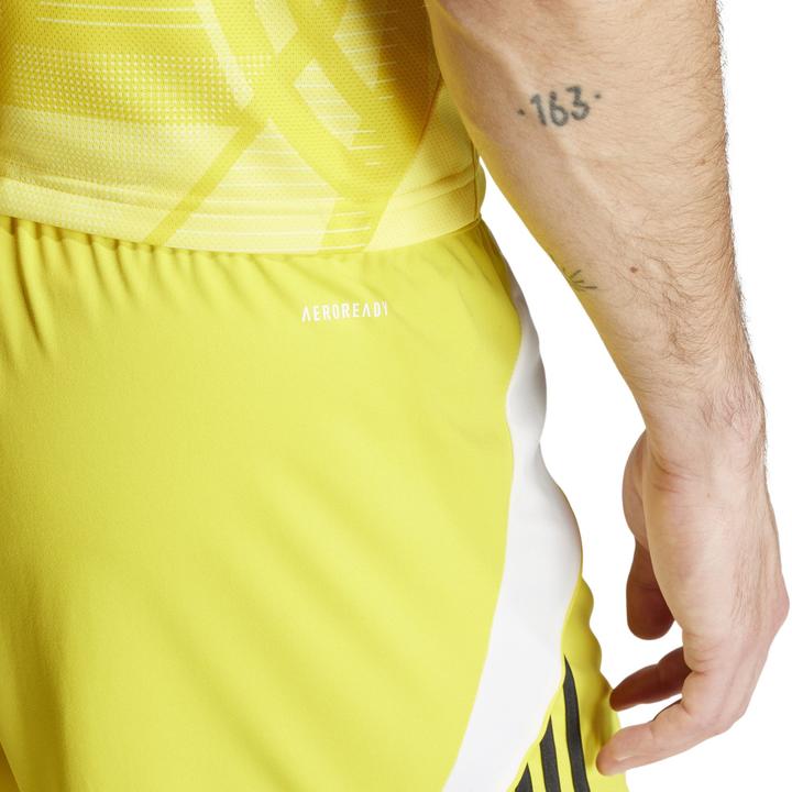 Actual product image adidas TIRO24 SHORT (M)