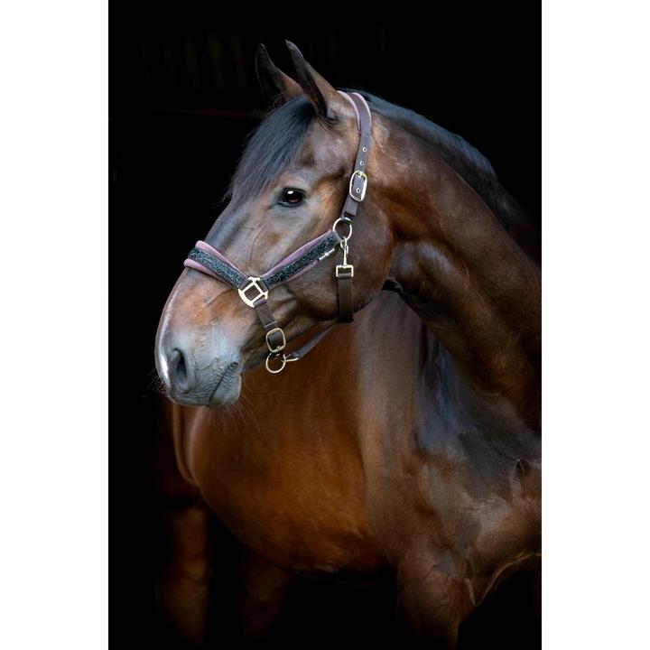 Immagine prodotto Horse Guard Angel