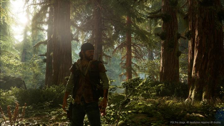 Actual product image Sony Days Gone (PS4, DE)
