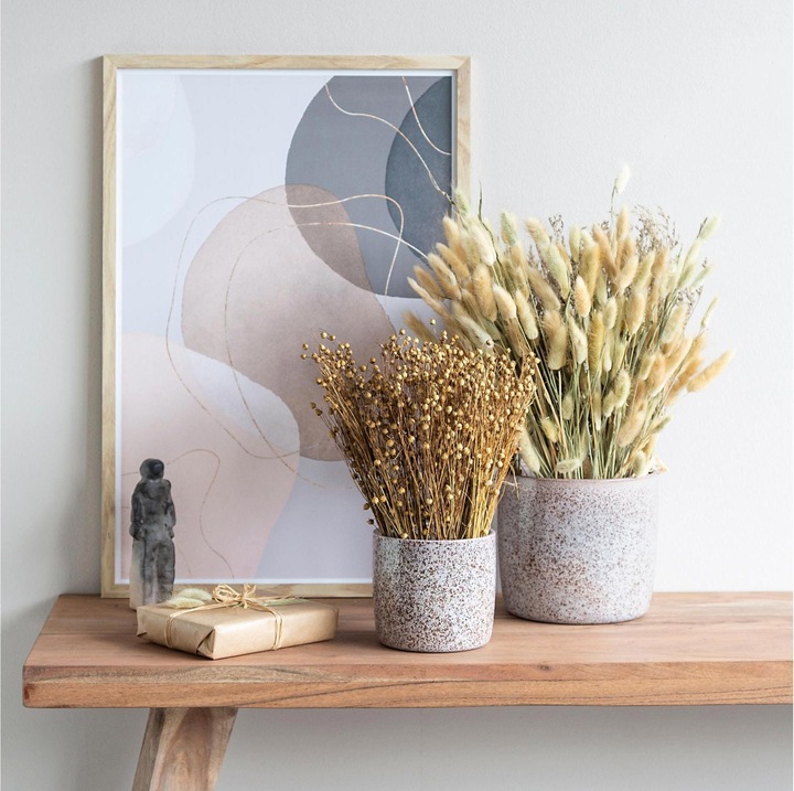 Image du produit Scheurich Solido (17.60 cm)