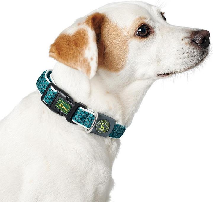 Actual product image Hunter Dog Collar Hilo Vario Basic (M, S, Dog)