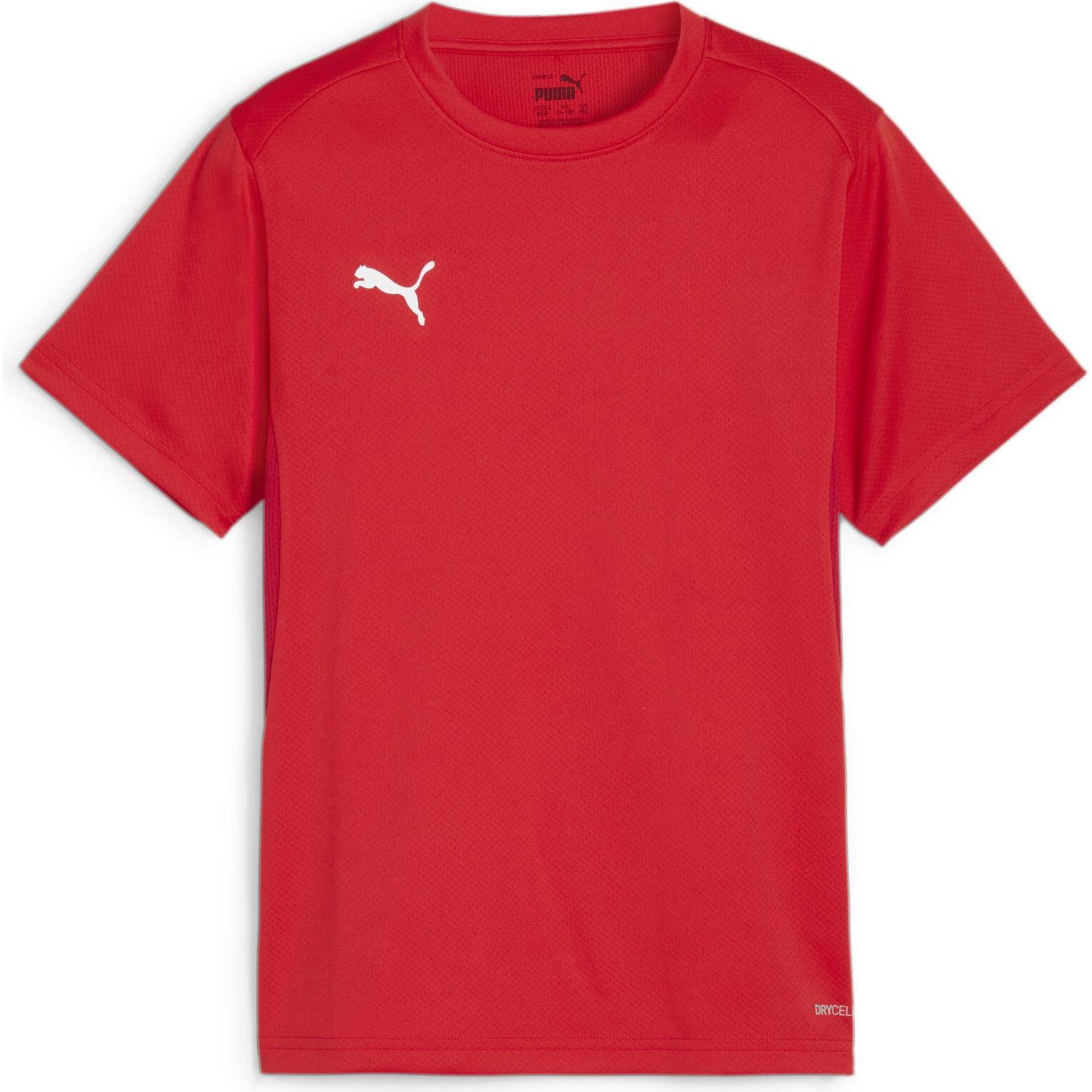 Puma, Jungen, Sportshirt, teamGOAL Jersey Jr (116), Rot, 116