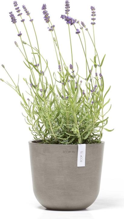 Produktbild Ecopots Oslo Mini (19 cm)