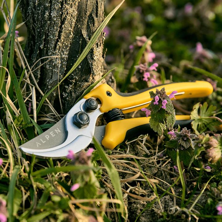 Actual product image Alpen Swiss Tools Alpen GELBHORN 140 secateurs