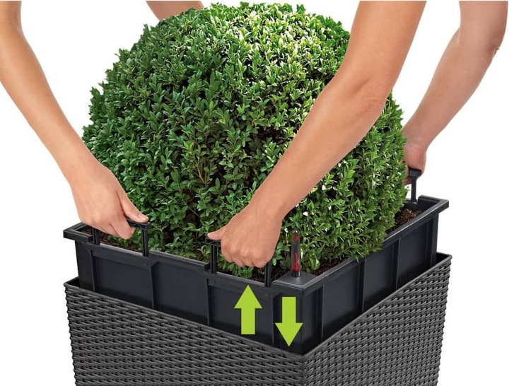 Actual product image Lechuza Cube Cottage (29.50 cm)