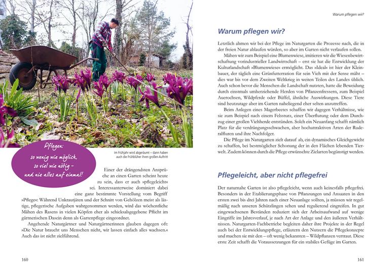 Produktbild Mein Garten wird ein Naturgarten (Deutsch, Helbig, Birgit, 2024)