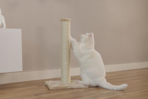 Produktbild Beeztees Katzenmöbel (60 cm, Beige)