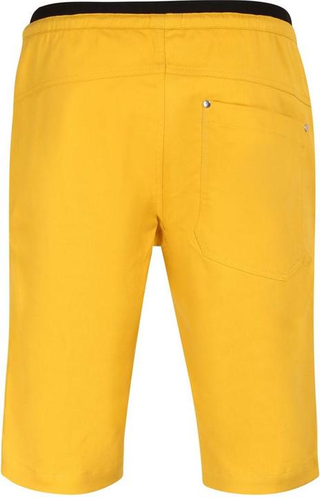 Actual product image Directalpine Rock Shorts 1.0, Kurze Hose, Herren (Regular Fit) - Direct Alpine, 200 (S)
