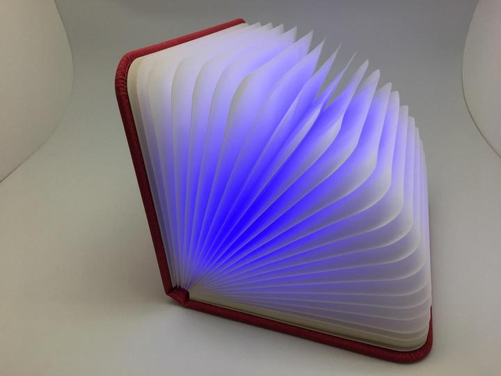 Produktbild Audiolab Buchlampe