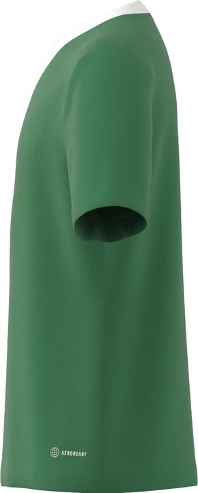 Produktbild adidas Entrada 22 Trikot (128)