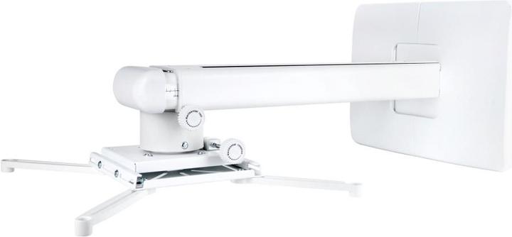 Projector mounts