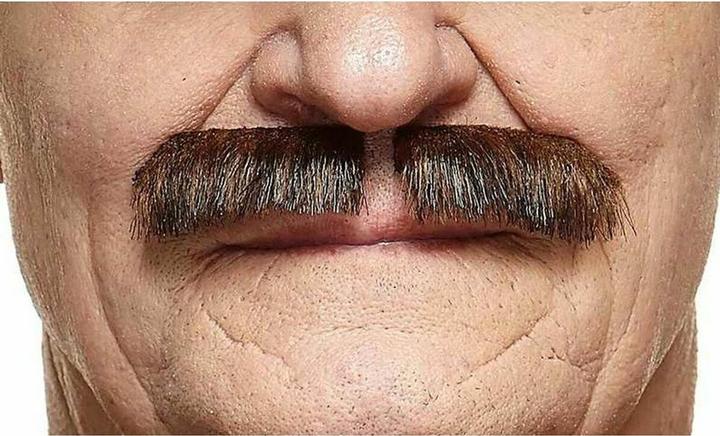 My Other Me Schnurrbart Kastanie