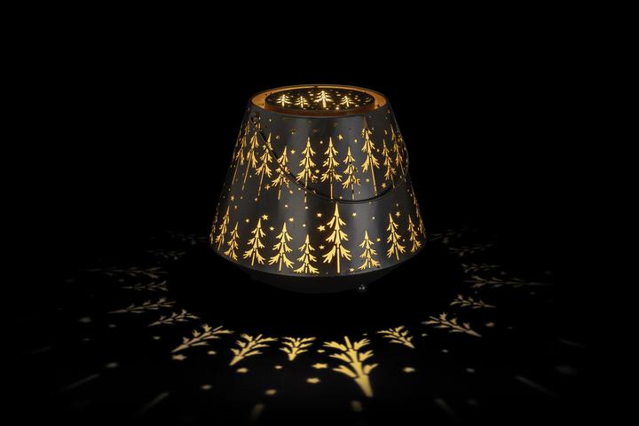 Actual product image STT Outdoor Light